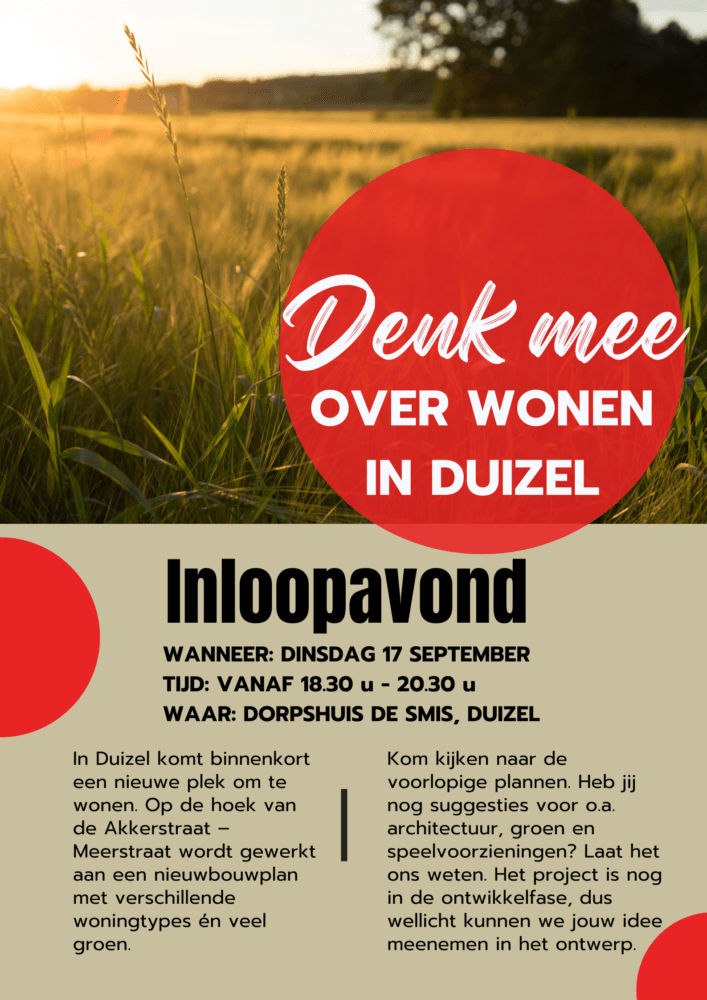 Poster Denk mee Duizel